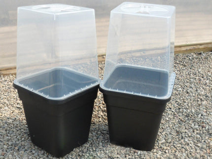 25cm Square Cloche Cover – Mini Greenhouse for Seedlings | Garland | Cloche | G258 5031670004437 | AllotMate Essentials