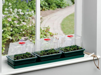 Three Top Windowsill Propagator – Compact Tray Set for Indoor Growing | Garland | Unheated Propagation | G171 05031670003201 | AllotMate Essentials
