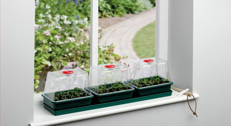 Three Top Windowsill Propagator – Compact Tray Set for Indoor Growing | Garland | Unheated Propagation | G171 05031670003201 | AllotMate Essentials