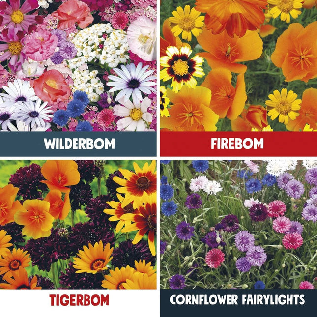 Kabloom Brilliant Botanics Seedbom Gift Box - Flower Seeds - AllotMate Essentials - BR0113 - 23571986