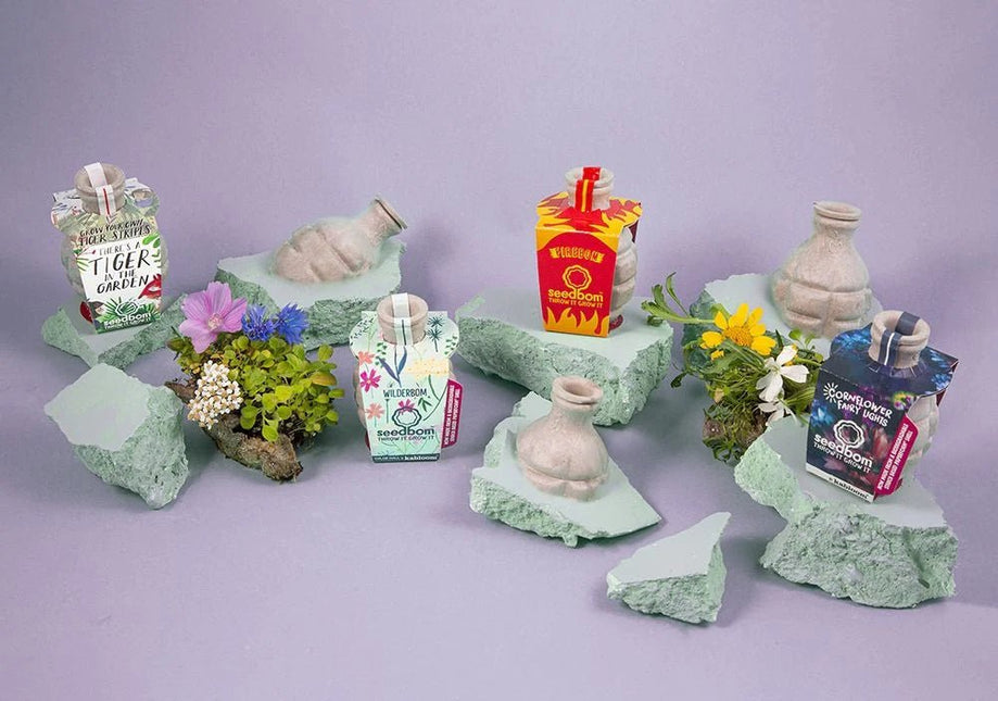 Kabloom Brilliant Botanics Seedbom Gift Box - Flower Seeds - AllotMate Essentials - BR0113 - 23571986