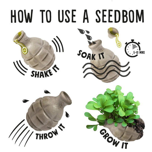 Kabloom Lovebom (Forget - Me - Not) Seedbom - Flower Seeds - AllotMate Essentials - LB6890 - 69643794