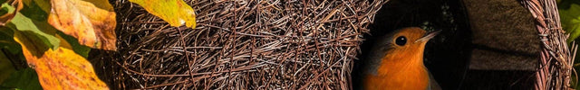 Brushwood Robin Nester – Natural Shelter for Robins & Small Birds | Wildlife World | Bird Nester | SKROBRNP 679505019253 | AllotMate Essentials