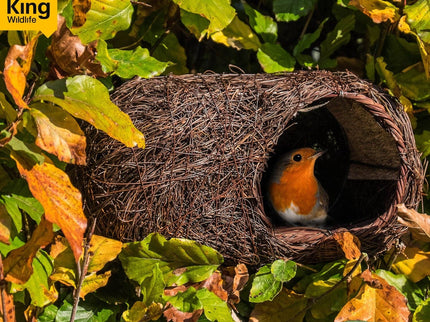 Brushwood Robin Nester – Natural Shelter for Robins & Small Birds | Wildlife World | Bird Nester | SKROBRNP 679505019253 | AllotMate Essentials