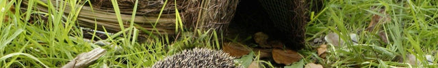 Igloo Hedgehog Home – Safe Winter Shelter for Hedgehogs | Wildlife World | Hedgehog Home | HH10 679505017747 | AllotMate Essentials